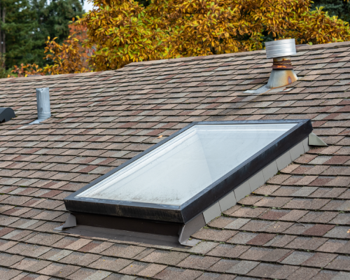 Skylight (1)